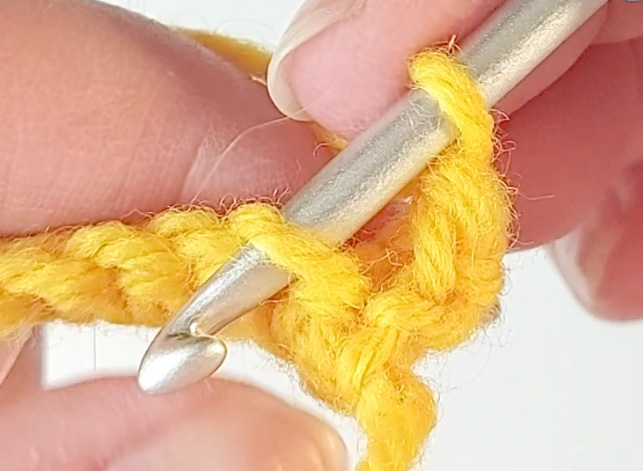 inserting hook into single crochet stitch from the back